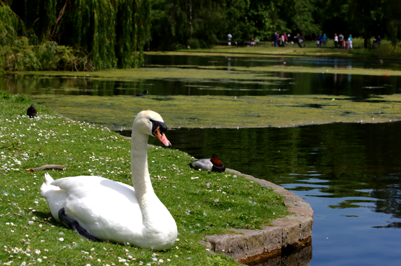 St. James Park