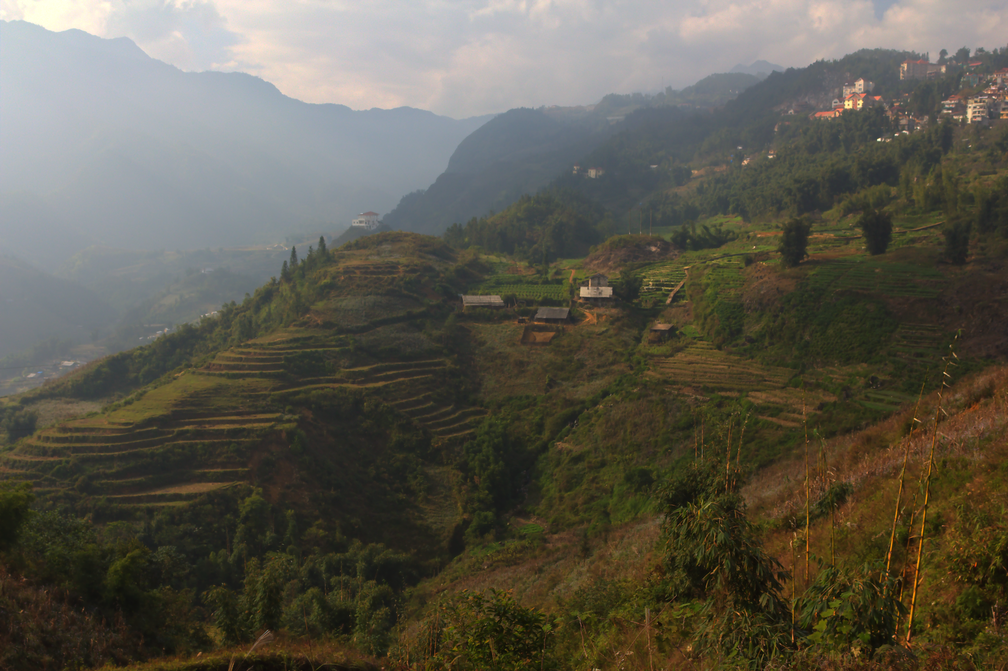 Sapa Rice Terraces