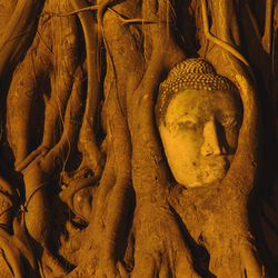 Ayutthayah