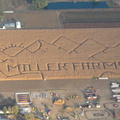 Miller Farms