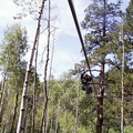 Mom on a wire