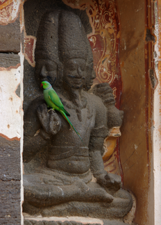 Sculpture and Parrot