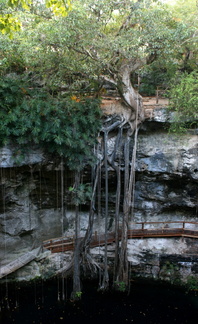 Cenote X'canche