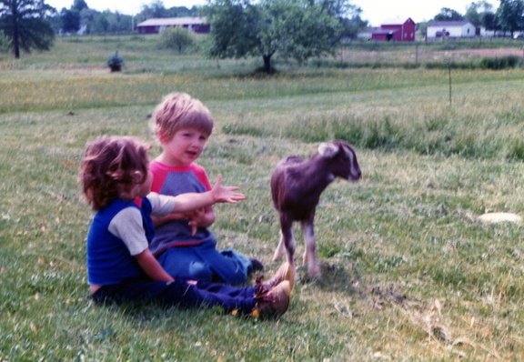1980 Joe Dana goat