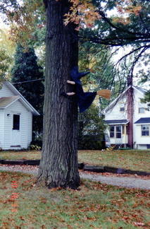 1993 Halloween697